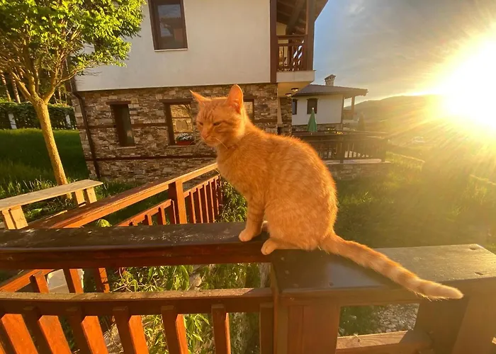 планински кът Holiday home *