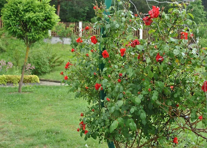 Holiday home планински кът